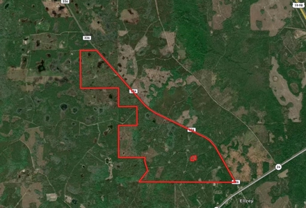 778-acre hunting property in Levy County, Florida - image 18