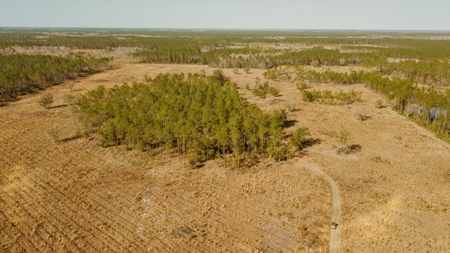 778-acre hunting property in Levy County, Florida - image 9