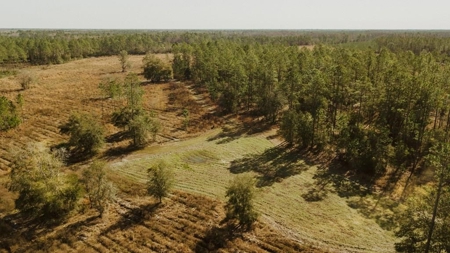 778-acre hunting property in Levy County, Florida - image 1