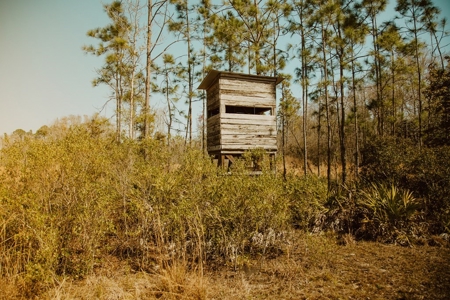 778-acre hunting property in Levy County, Florida - image 14