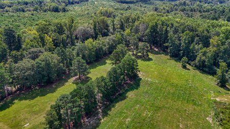 Commercial Land and Building For Sale  in Carthage NC! - image 38