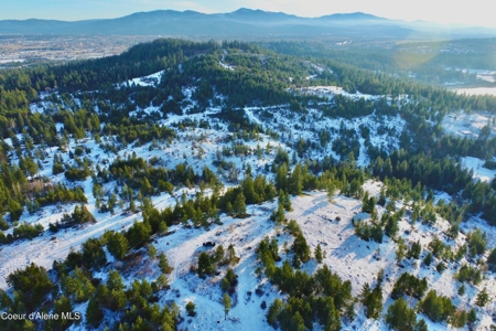 Large Acreage for Sale in Rathdrum, Idaho - image 4