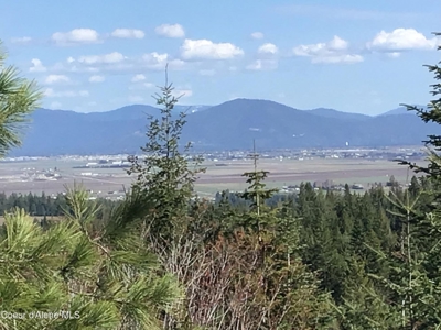 Large Acreage for Sale in Rathdrum, Idaho - image 8