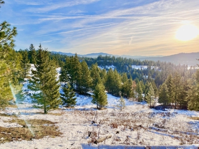 Large Acreage for Sale in Rathdrum, Idaho - image 14