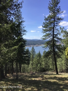 Large Acreage for Sale in Rathdrum, Idaho - image 5