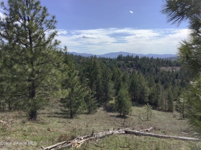 Large Acreage for Sale in Rathdrum, Idaho - image 13