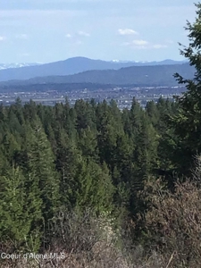 Large Acreage for Sale in Rathdrum, Idaho - image 7