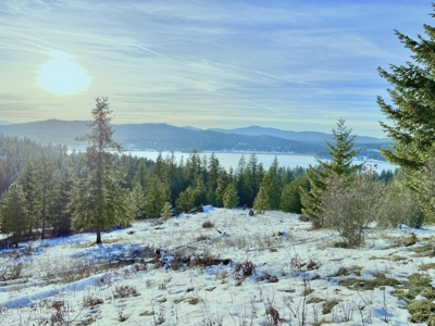 Large Acreage for Sale in Rathdrum, Idaho - image 12
