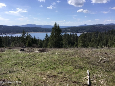 Large Acreage for Sale in Rathdrum, Idaho - image 9