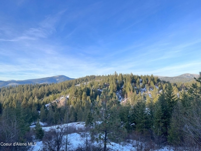 Large Acreage for Sale in Rathdrum, Idaho - image 3