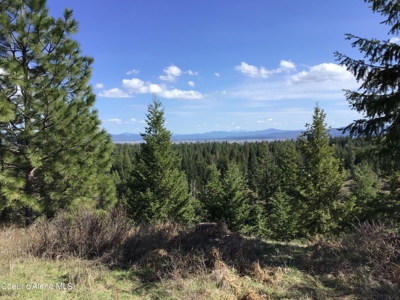 Large Acreage for Sale in Rathdrum, Idaho - image 11