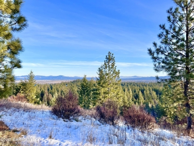 Large Acreage for Sale in Rathdrum, Idaho - image 2