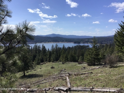 Large Acreage for Sale in Rathdrum, Idaho - image 6