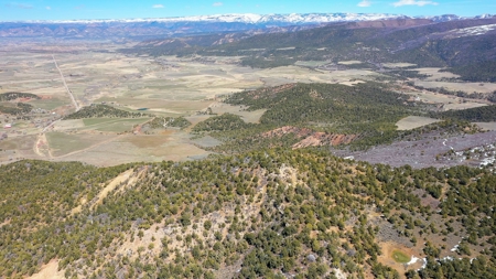 Hunting Property for Sale in Colorado - image 10
