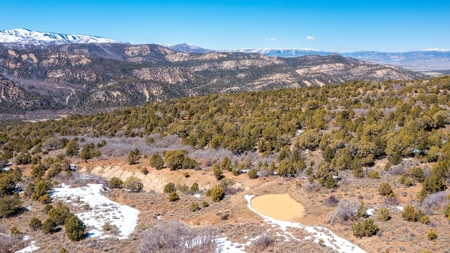 Hunting Property for Sale in Colorado - image 3