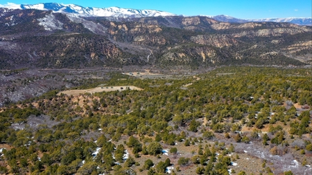 Hunting Property for Sale in Colorado - image 8