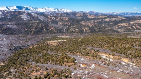 Hunting Property for Sale in Colorado - image 4
