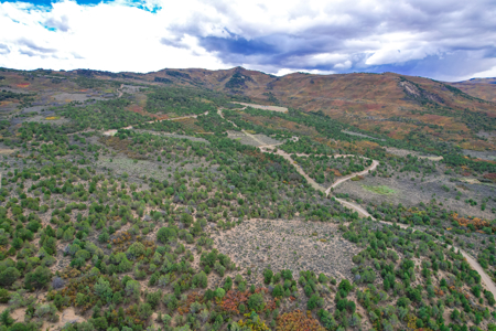 Hunting Property for Sale in Colorado - image 20