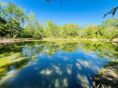 Winnsboro Wood County Texas Furnished Barndominium 6 Acres - image 32