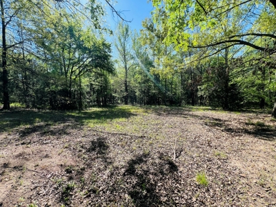 Winnsboro Wood County Texas Furnished Barndominium 6 Acres - image 31