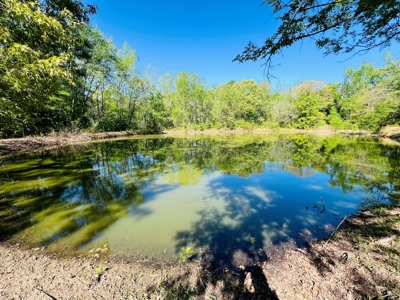 Winnsboro Wood County Texas Furnished Barndominium 6 Acres - image 30