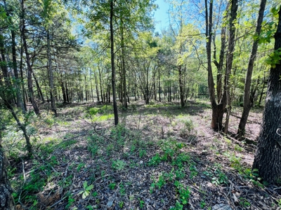 Winnsboro Wood County Texas Furnished Barndominium 6 Acres - image 36