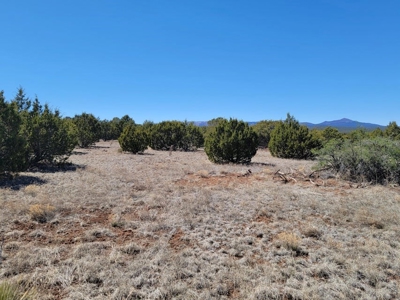 10 Acres in Manzano Mountain Foothills with Priceless Views! - image 3