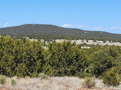 10 Acres in Manzano Mountain Foothills with Priceless Views! - image 2