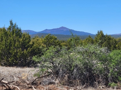 10 Acres in Manzano Mountain Foothills with Priceless Views! - image 1