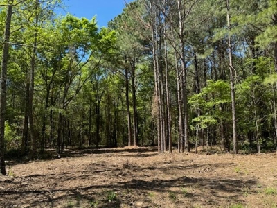 Beautiful Lot in Mount Pleasant Texas in Chapel Hill ISD - image 1