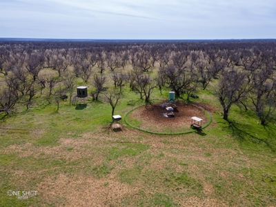 West Texas Hunting Ranch For Sale in Shackelford County - image 13