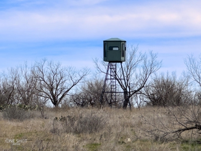West Texas Hunting Ranch For Sale in Shackelford County - image 2