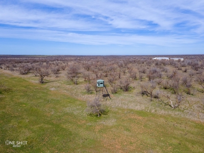 West Texas Hunting Ranch For Sale in Shackelford County - image 14