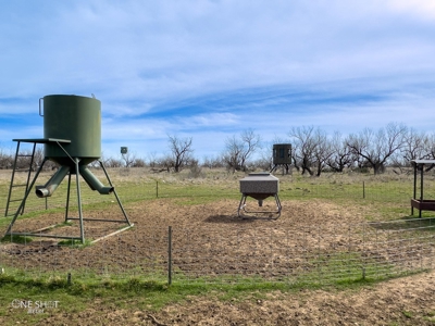West Texas Hunting Ranch For Sale in Shackelford County - image 48