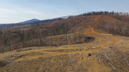 Large Timbered Tract of Land for Sale in Ferrum VA - image 19