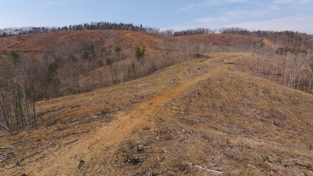 Large Timbered Tract of Land for Sale in Ferrum VA - image 5