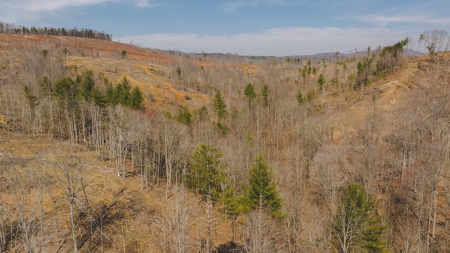 Large Timbered Tract of Land for Sale in Ferrum VA - image 16