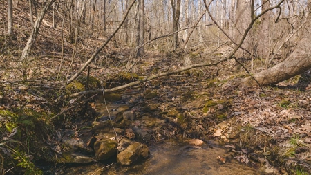 Large Timbered Tract of Land for Sale in Ferrum VA - image 10