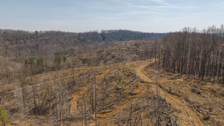 Large Timbered Tract of Land for Sale in Ferrum VA - image 11