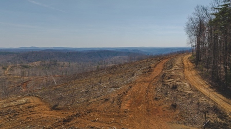 Large Timbered Tract of Land for Sale in Ferrum VA - image 21