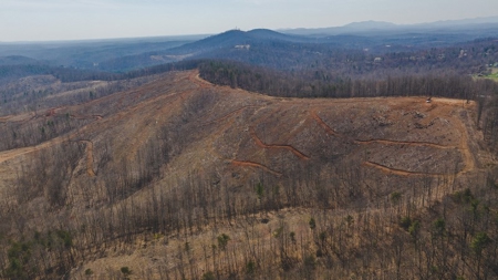 Large Timbered Tract of Land for Sale in Ferrum VA - image 28