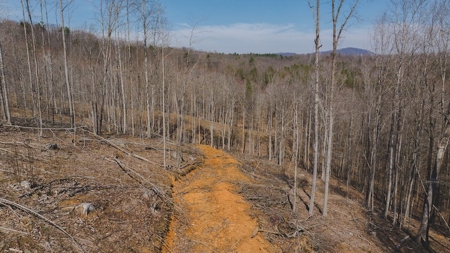 Large Timbered Tract of Land for Sale in Ferrum VA - image 20