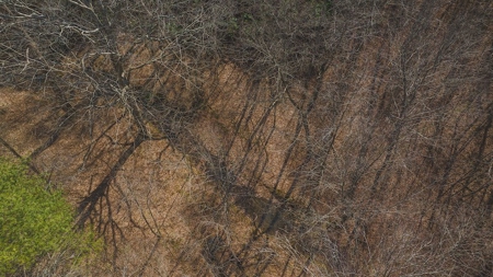 Large Timbered Tract of Land for Sale in Ferrum VA - image 18