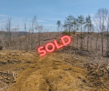 Large Timbered Tract of Land for Sale in Ferrum VA - image 29