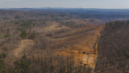 Large Timbered Tract of Land for Sale in Ferrum VA - image 27