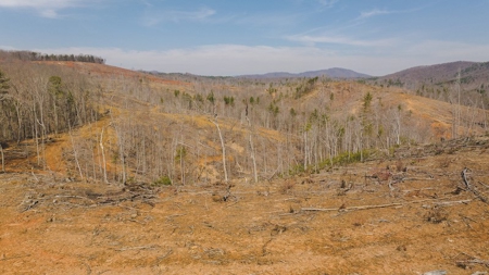 Large Timbered Tract of Land for Sale in Ferrum VA - image 12
