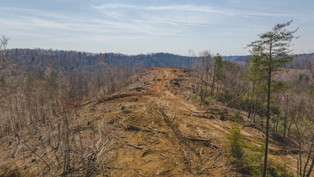Large Timbered Tract of Land for Sale in Ferrum VA - image 2
