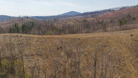 Large Timbered Tract of Land for Sale in Ferrum VA - image 17