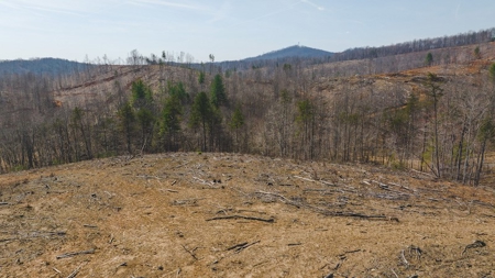 Large Timbered Tract of Land for Sale in Ferrum VA - image 4