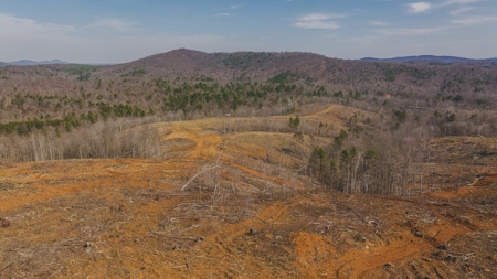 Large Timbered Tract of Land for Sale in Ferrum VA - image 24